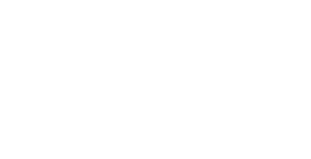 Blockchain Partner by KPMG