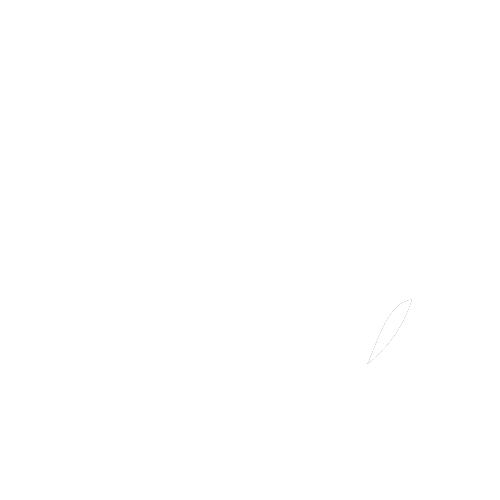 Ecole Surf