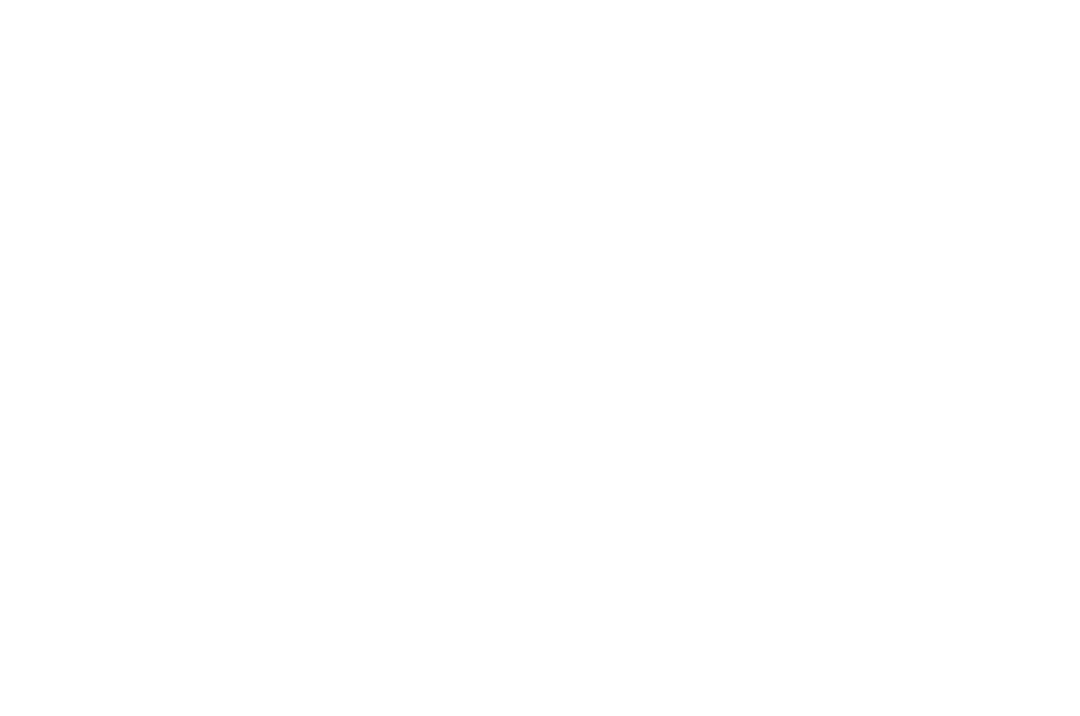 Rubichain