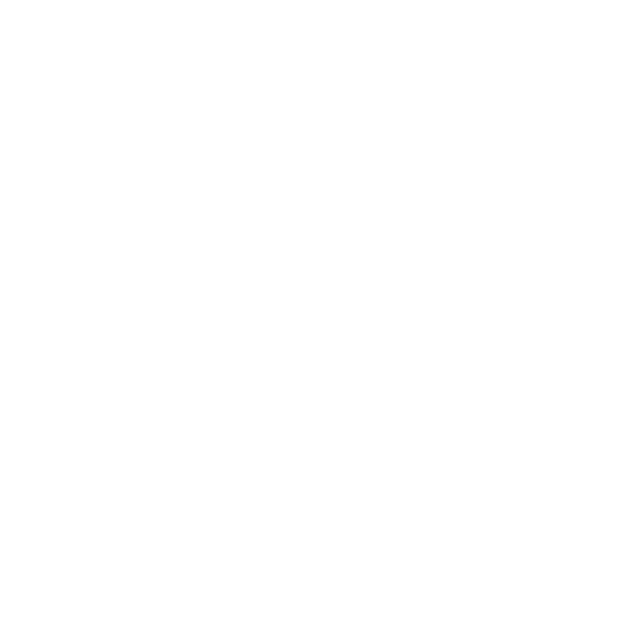 Les sauveteurs en mer - SNSM