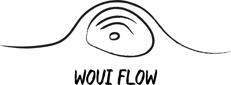 Woui Flow logo